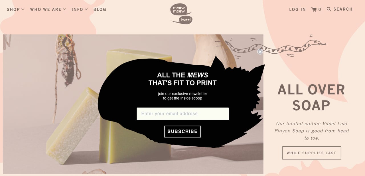 Meow Meow Tweet's Shopify newsletter popup example