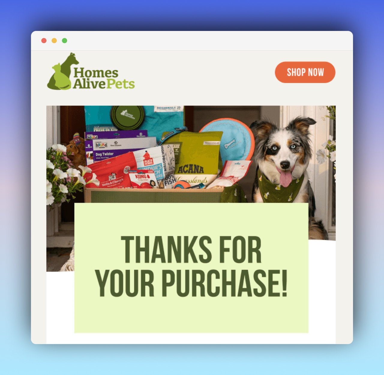 thank you page example with the text "thank you for your purchase!" and a blue eyed dog next to pet snacks and goodies basket