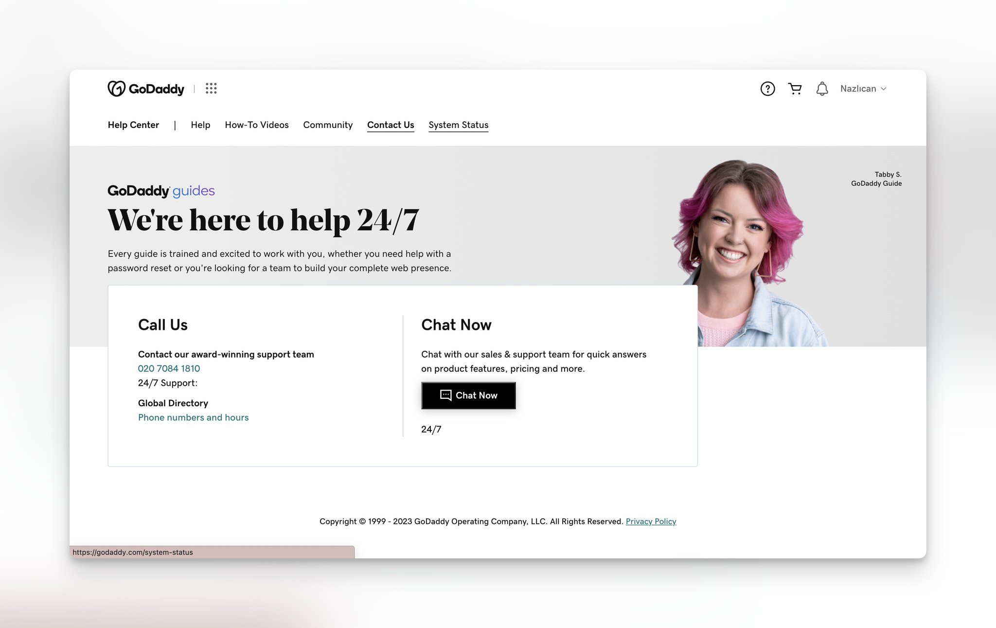 GoDaddy support page with a pink/brown hair female smiling on the right, and on the left, there is a headline followed by a support number and chat button