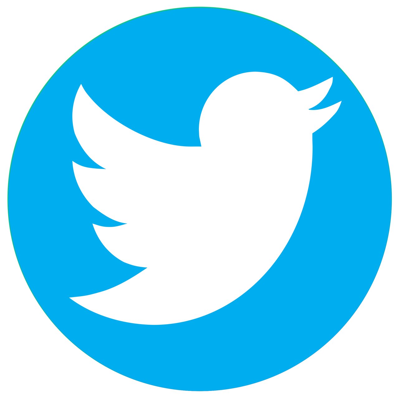 twitter logo featuring a white bird on a blue circle