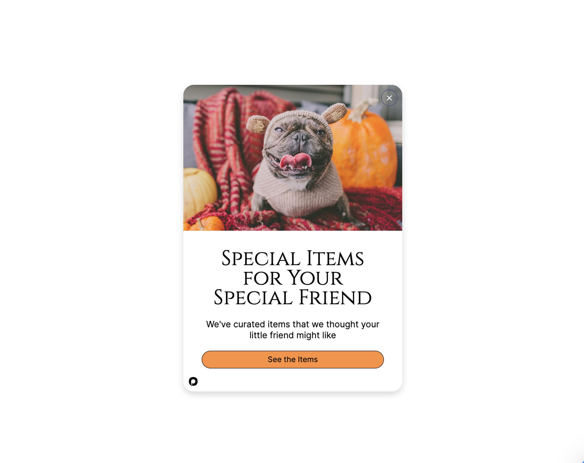 Personalized recommendation popup with a dog image wearing a cloth with a heading "Special items for your special friend"