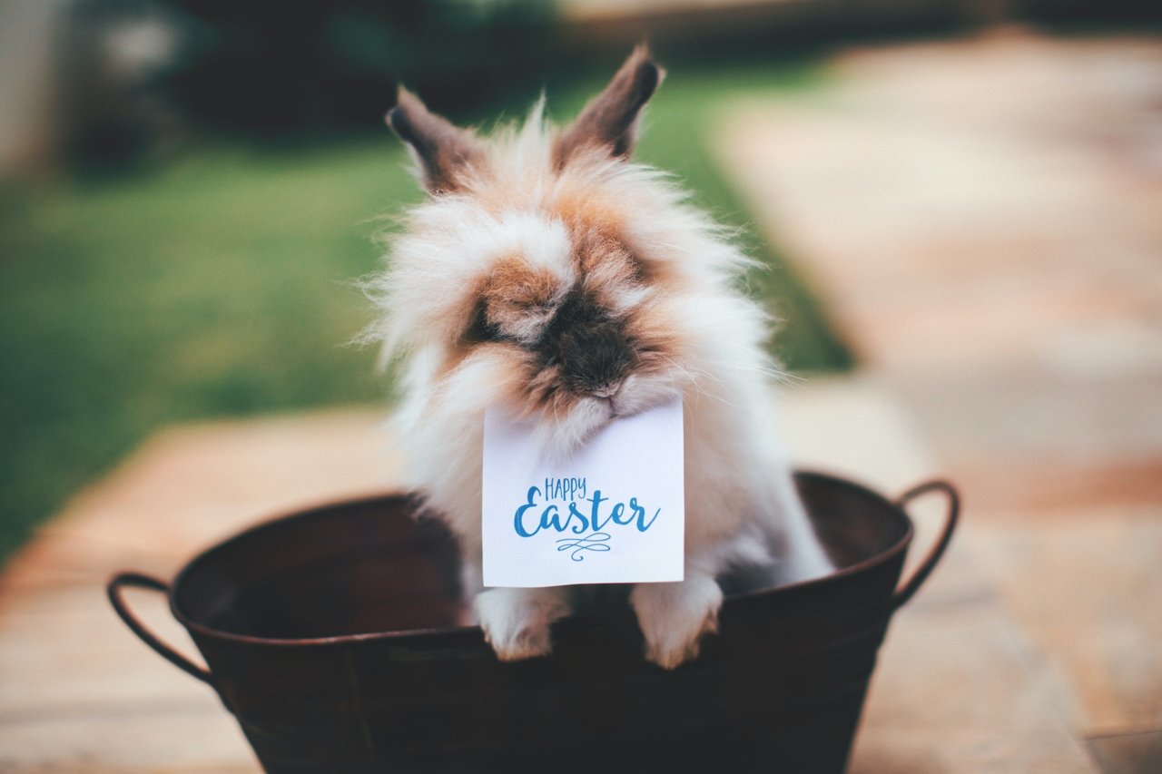 a bunny with a paper that says "Happy Easter"