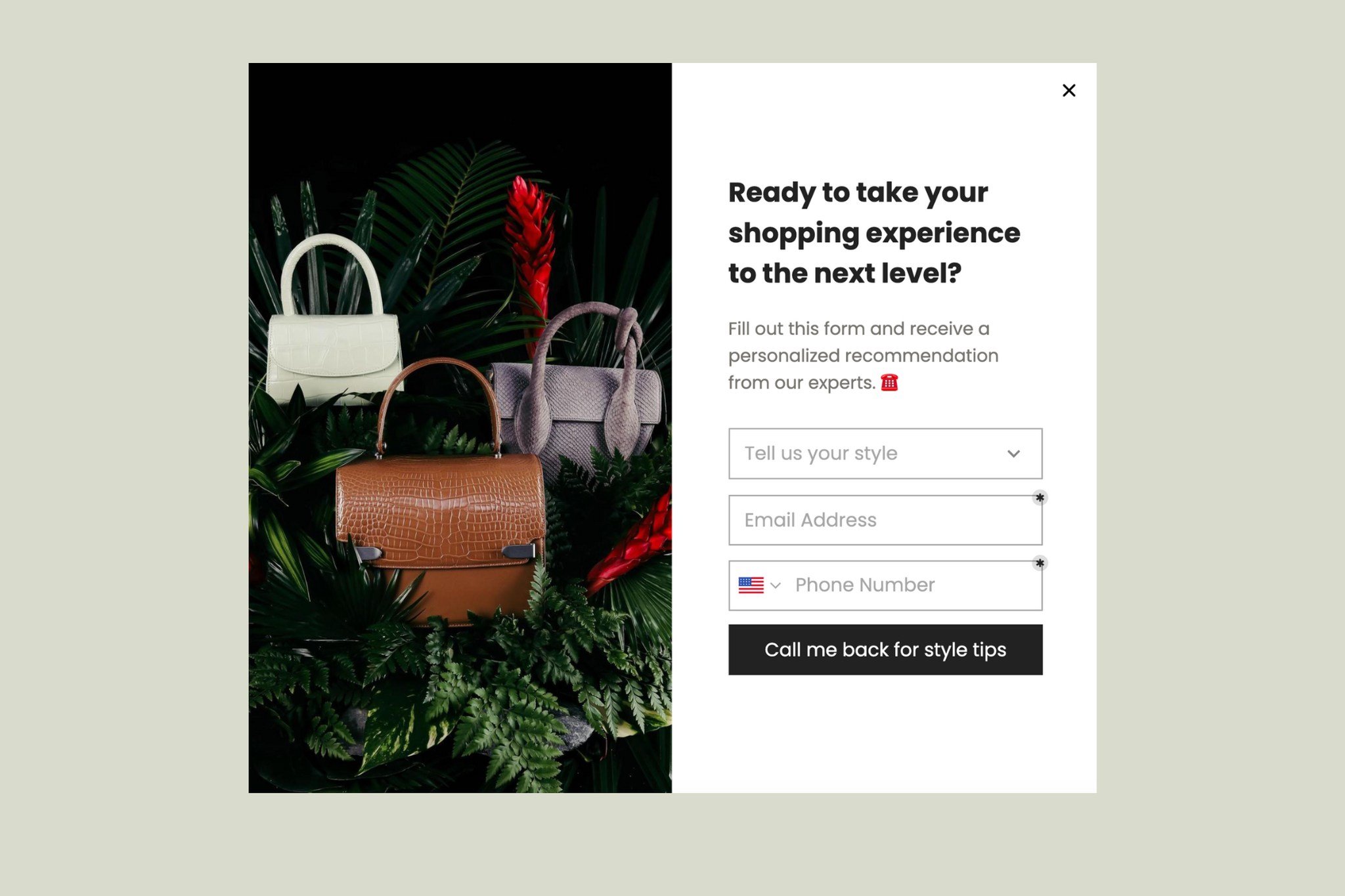 personalized support popup example that says "Ready to take your shopping experience to the next level?" with an image of three bags