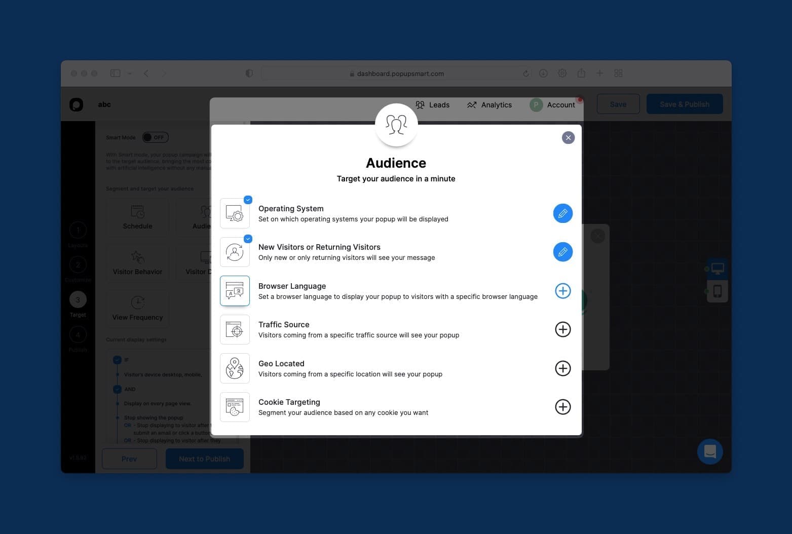a screenshot of the Popupsmart's dashboard Audience box