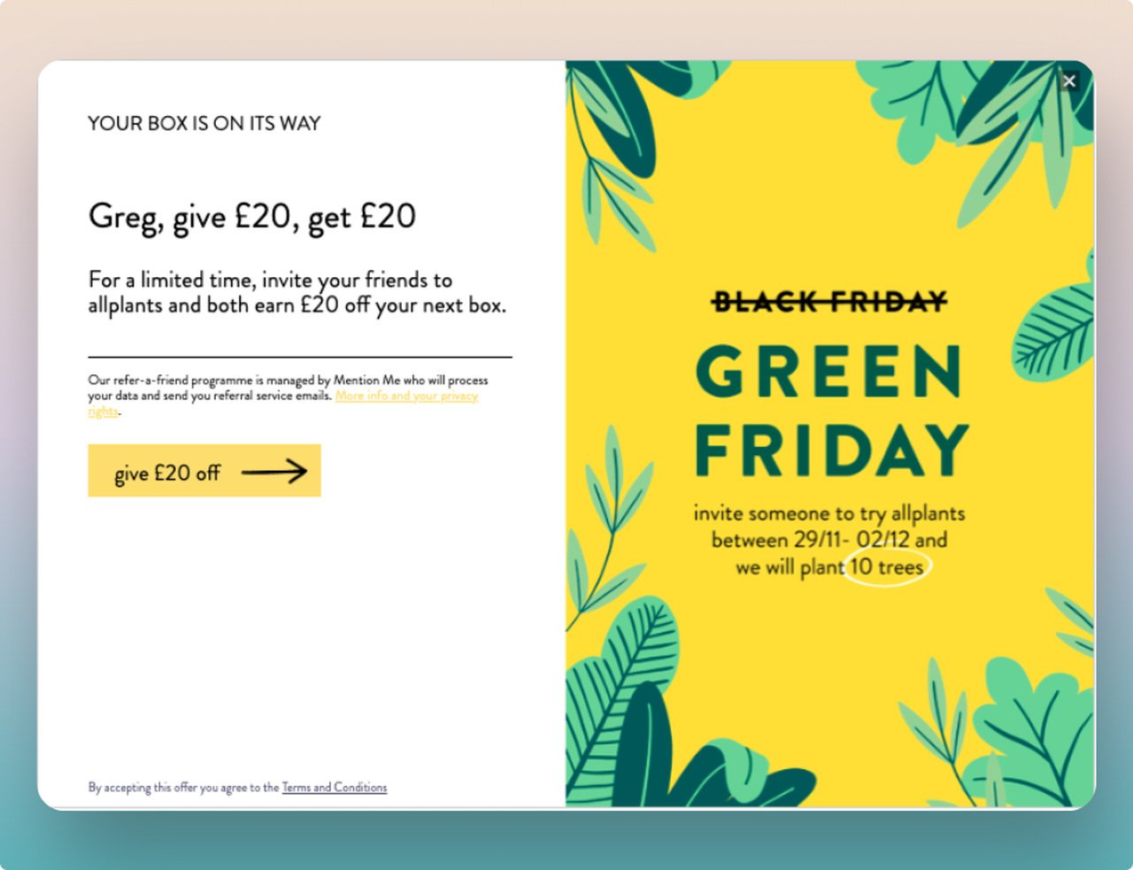 a screenshot of allplants brand referal campaign popup for black friday with a yellow theme