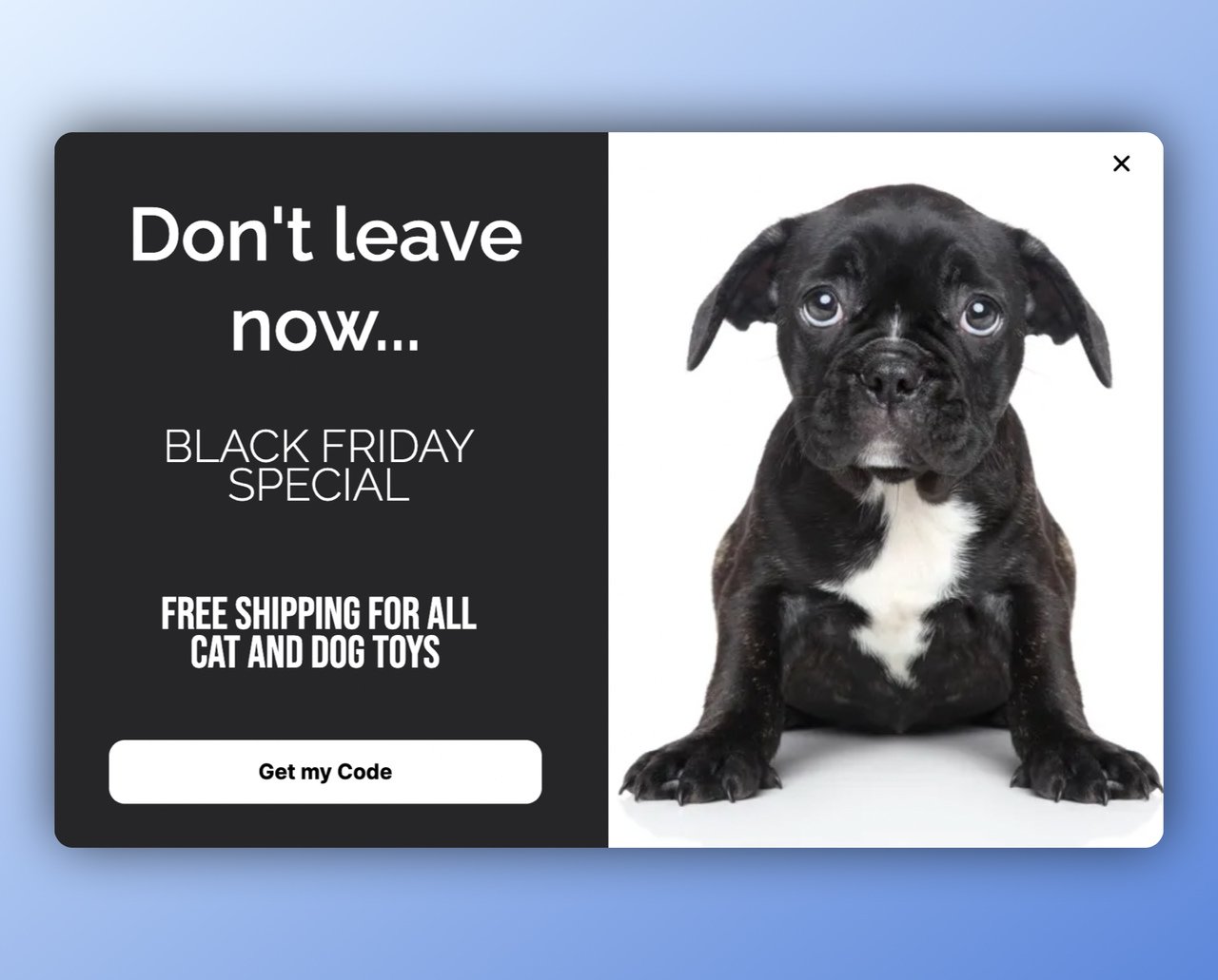 Black Friday exit-intent popup with a sad-looking black and white puppy on the right and free shipping offer on the left with "send my code" button