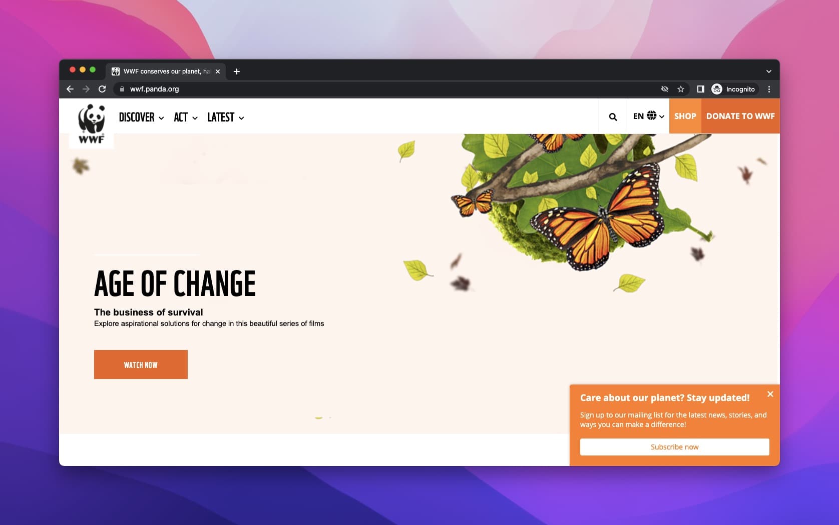 WWF landing page on an orange background with natural imagery