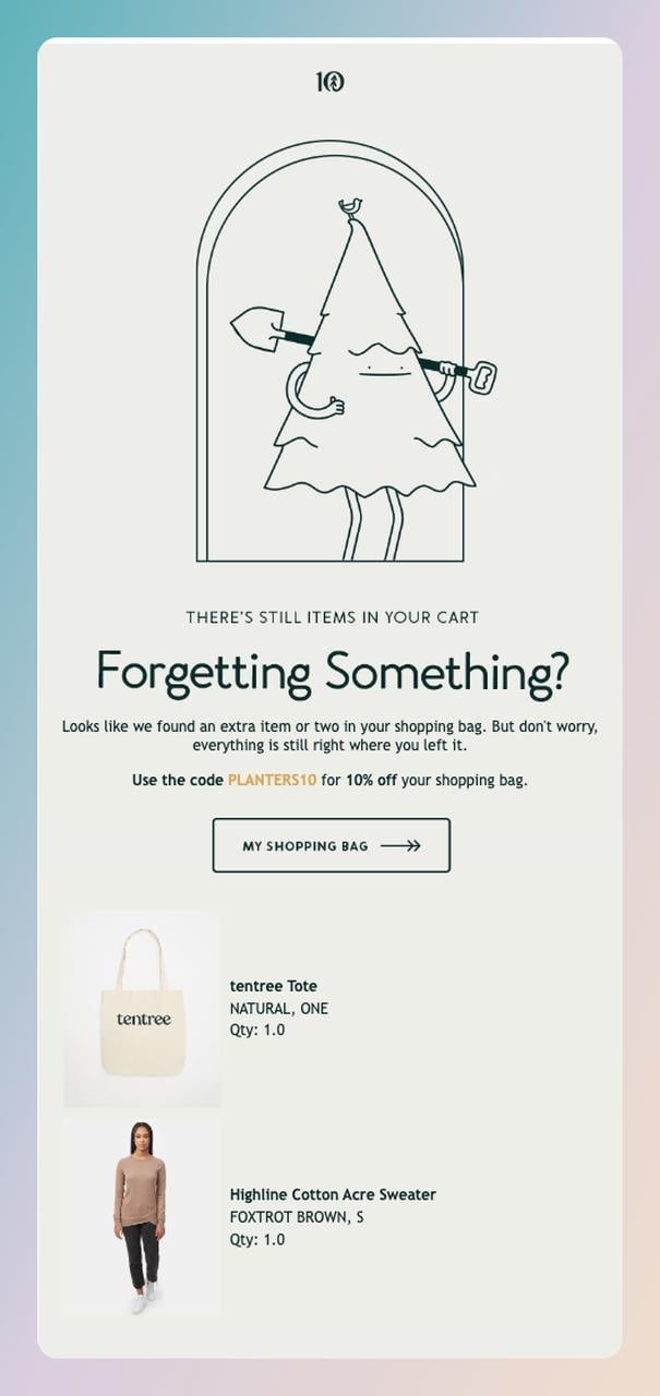 a screenshot of a cart abandonment follow up email from Ten Tree with a title that says "Forgetting Something?"