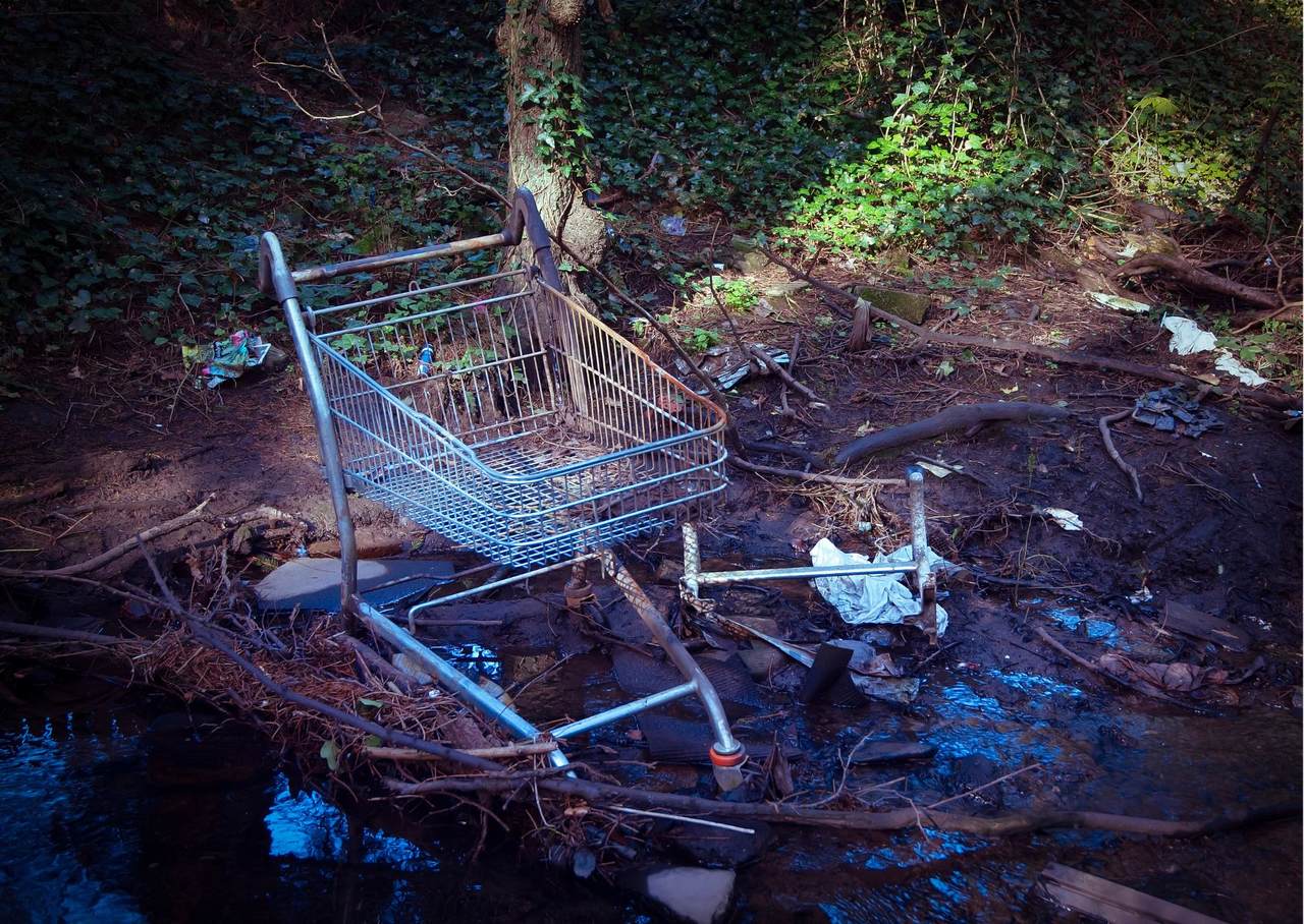 an abandoned cart in the forest