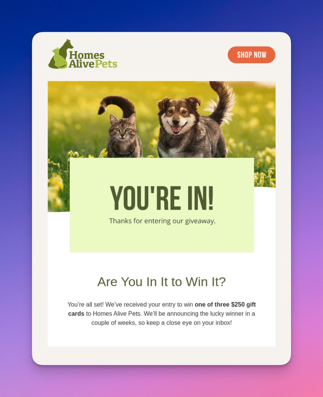 Homes Alive confirmation email with animal picture