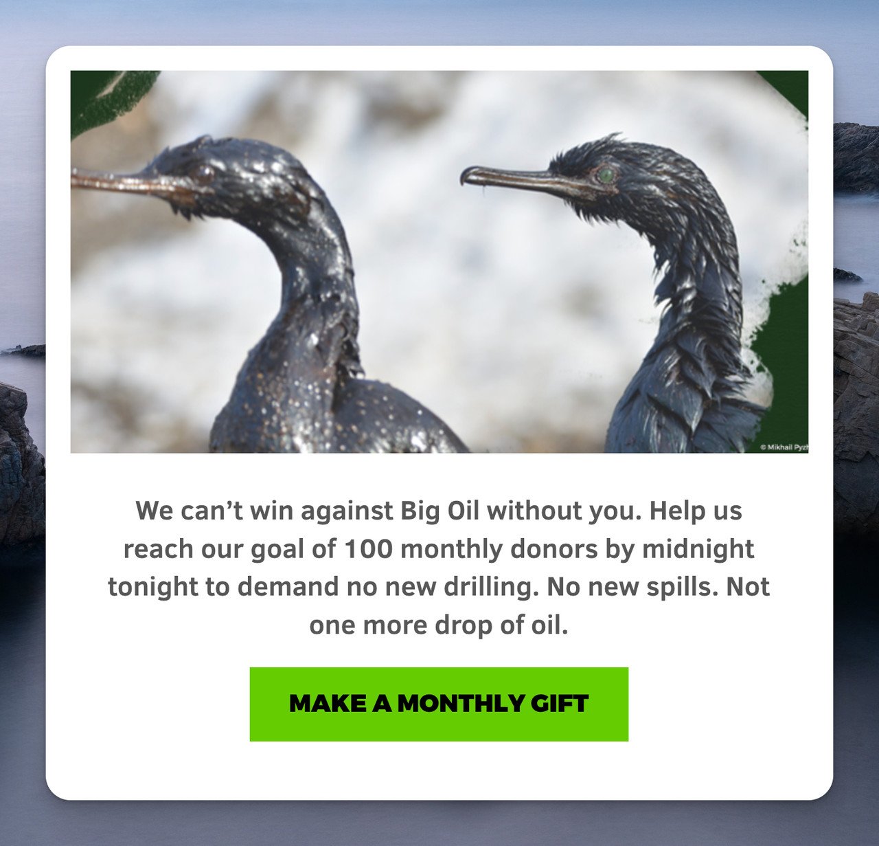 Greenpeace's popup-example with two birds covered in oil and below, there is a piece of text followed by a green button