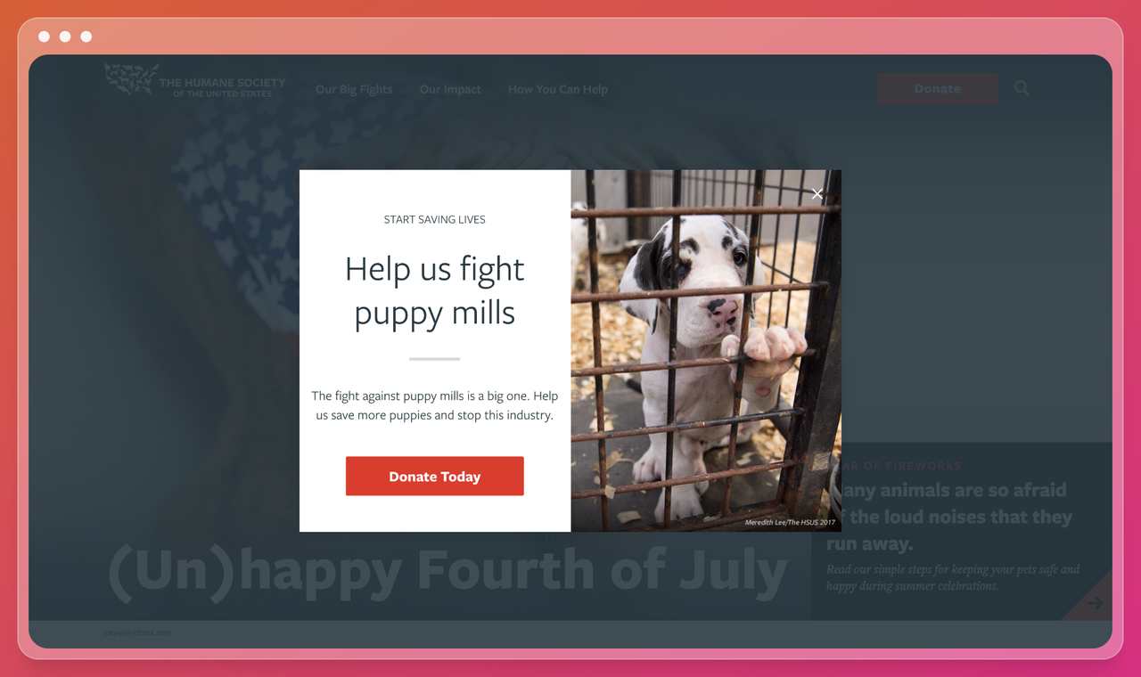 the popup of a nonprofit website fighting for the animal rights