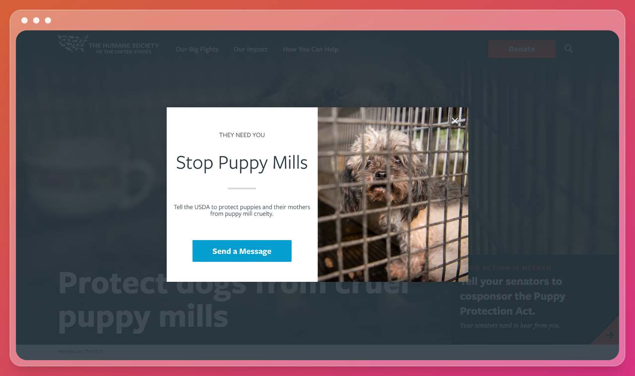 a popup screenshot from the human society of the united state website with a picture of a sad poppy in a cage and a text that asks the visitors to help them stop the poppy mills and tell the USDA to protect puppies with a blue call to action that says send a message