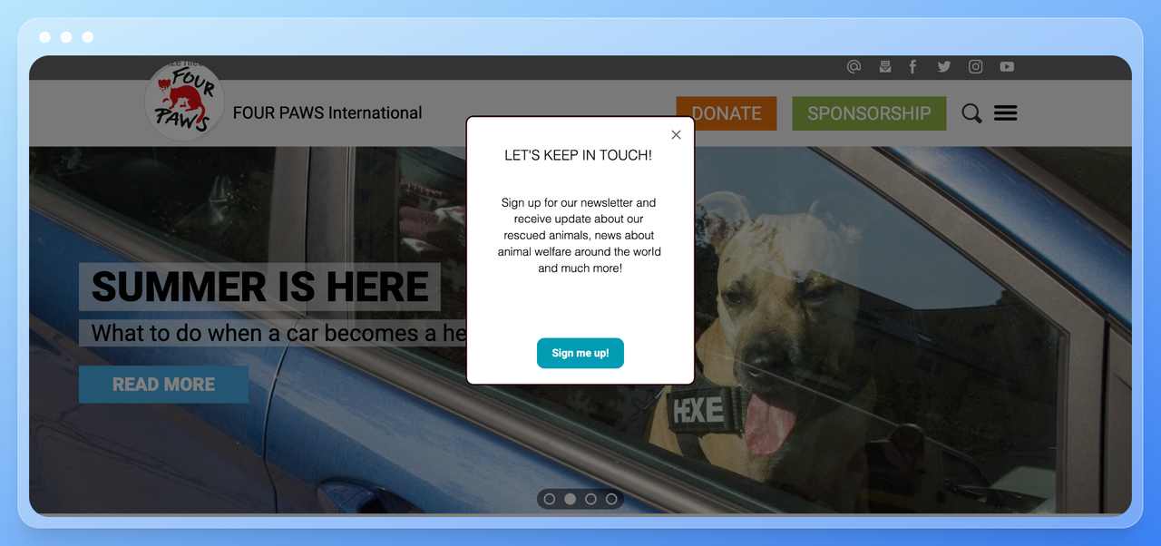 screenshot of Four paws nonprofit website with an exit intent popup