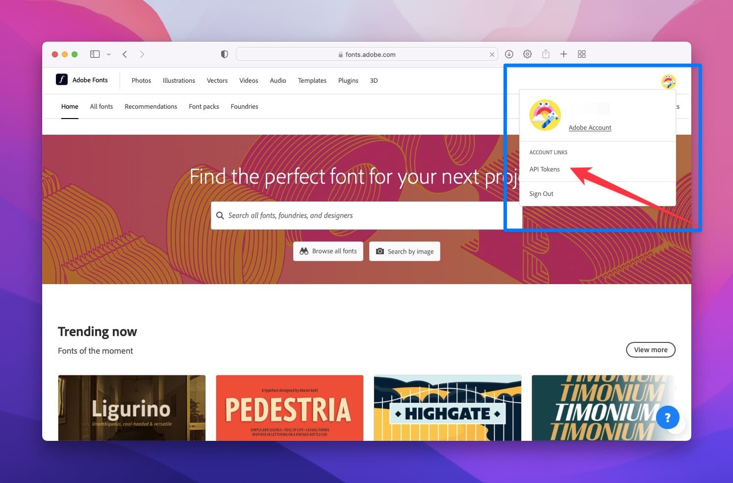 Adobe Fonts page and the account icon pointing out API token