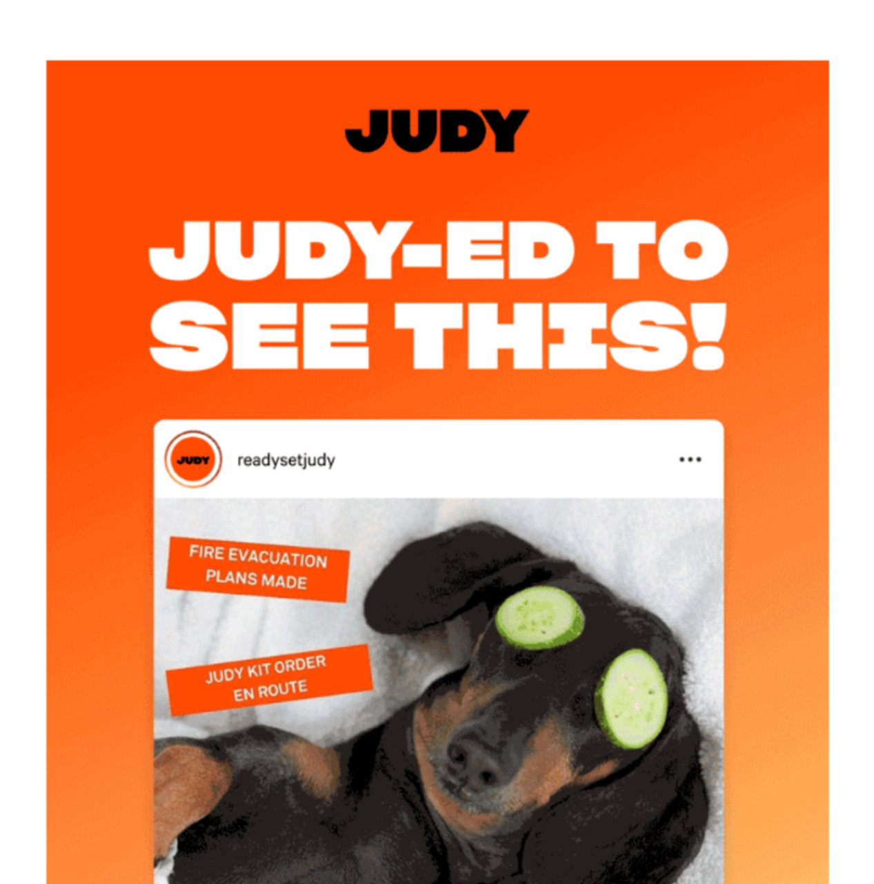 Judy funny email example