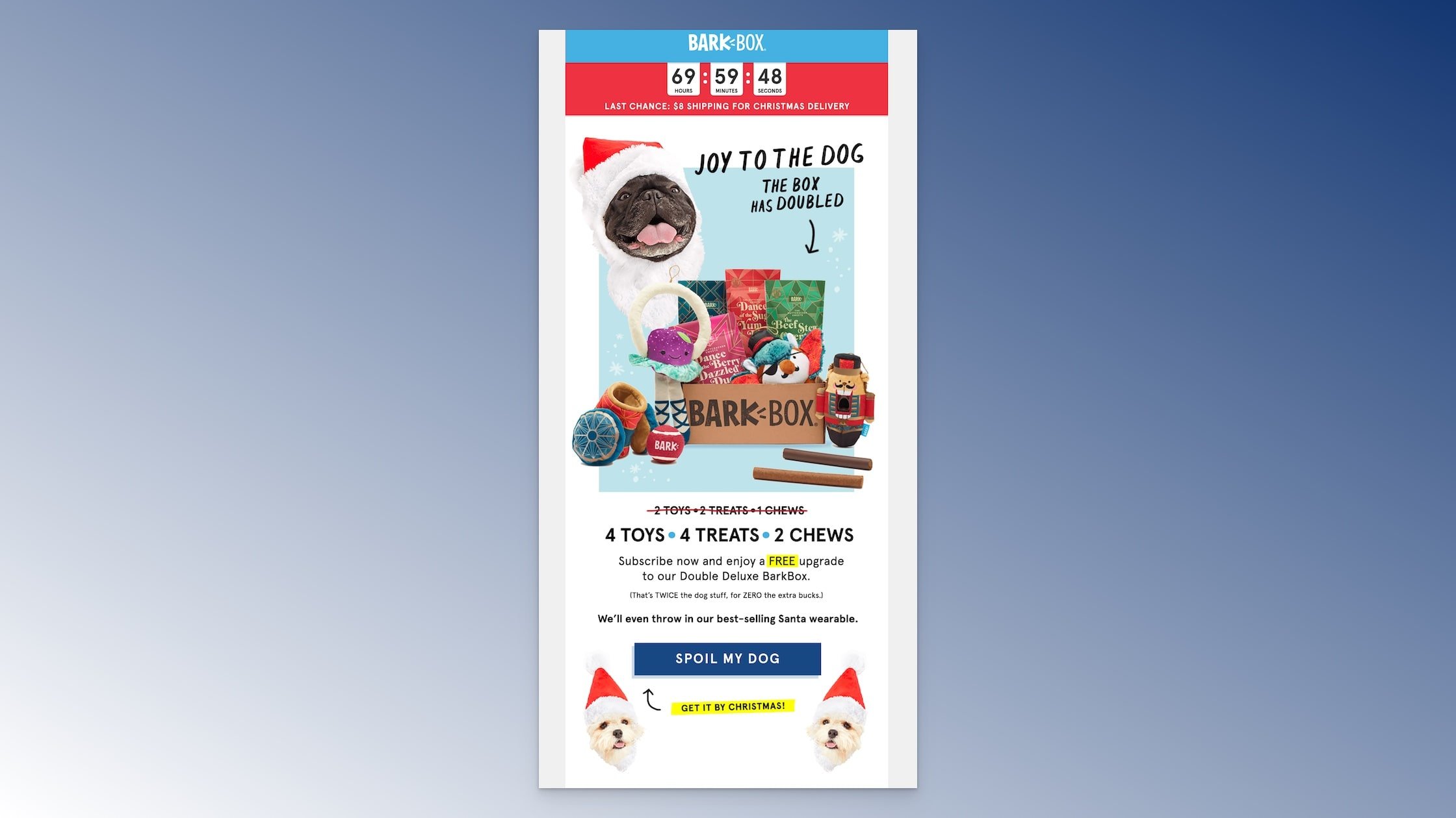 BarkBox's add-on giveaway emaiş