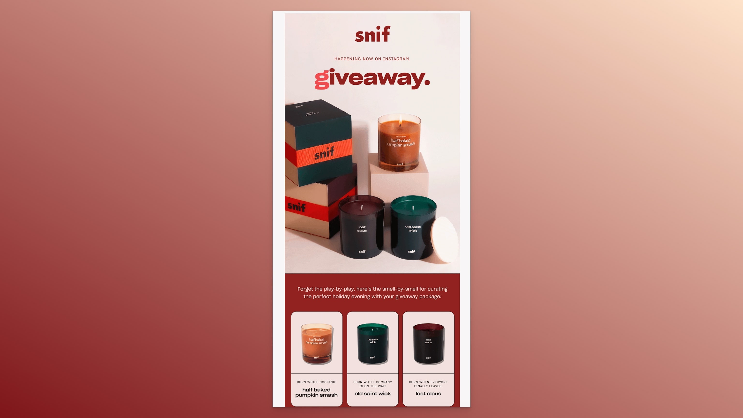 Snif's email to announce social media giveaway