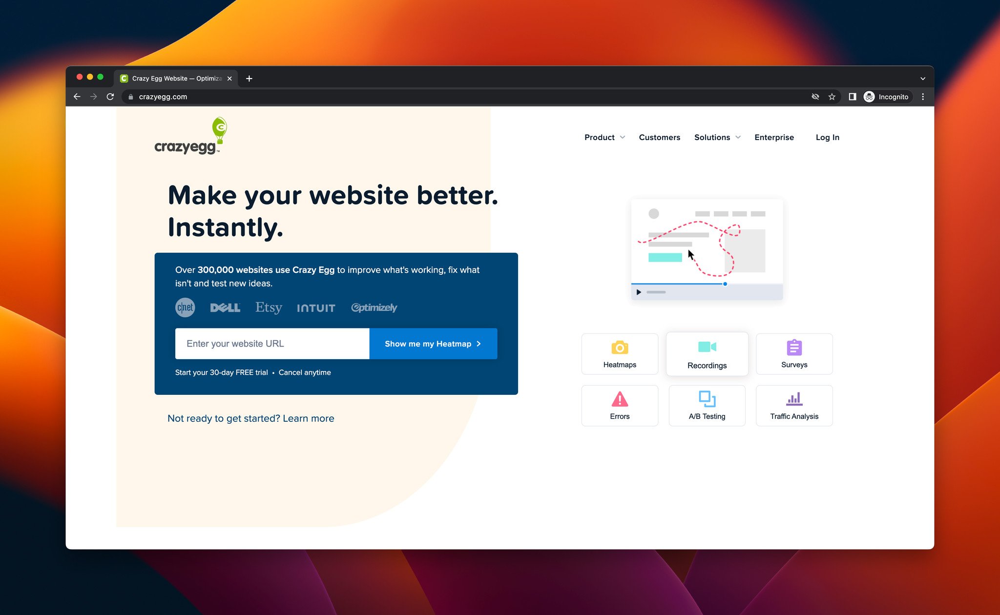 a screenshot of the homepage of Crazy Egg, which is a Google Optimize alternative