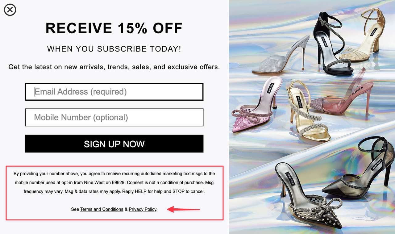 a Nine West SMS popup example with high hell shoe images on the right and the text and SMS field on the left followed by a "Sign up now" button