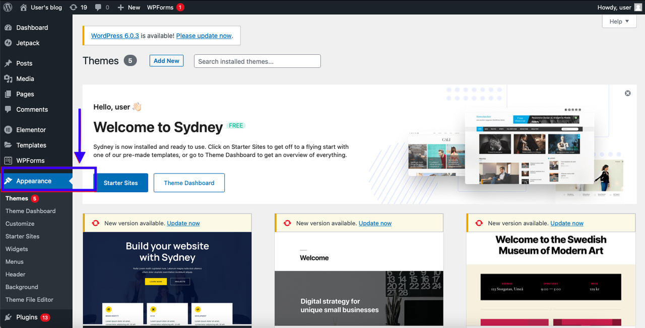 appearance section in the wordpress dashboard