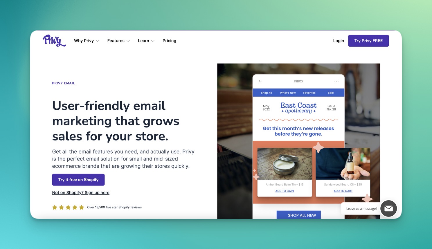 the email marketing page of Privy