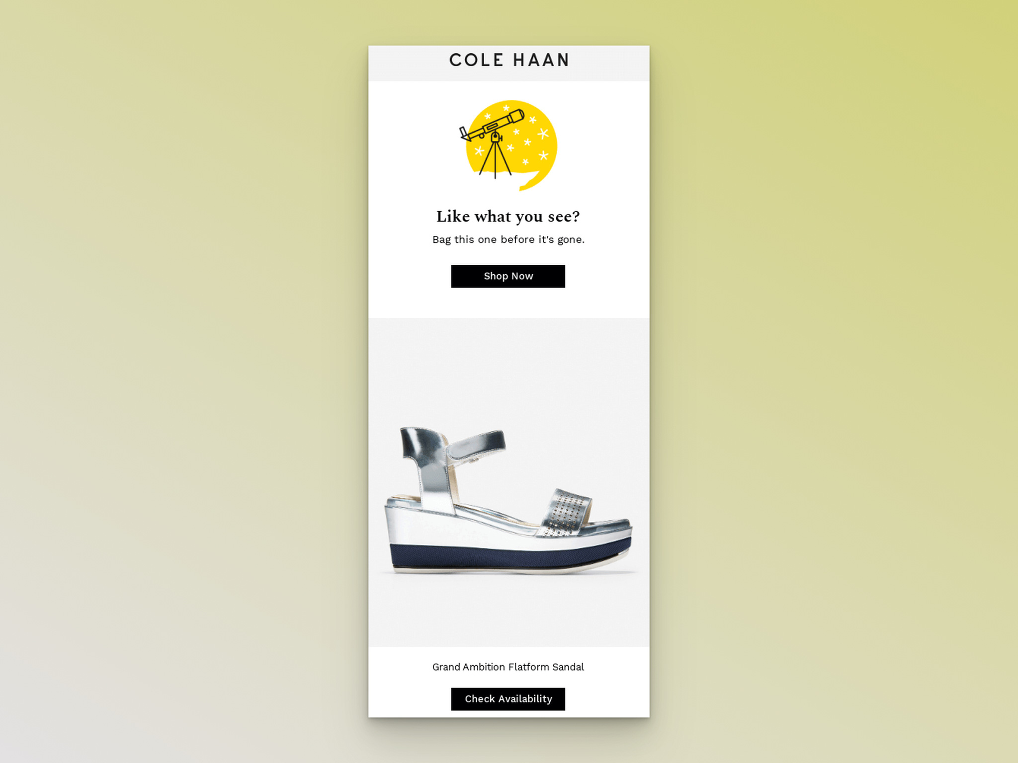 A screenshot of Cole Haan's browse abandonment email example