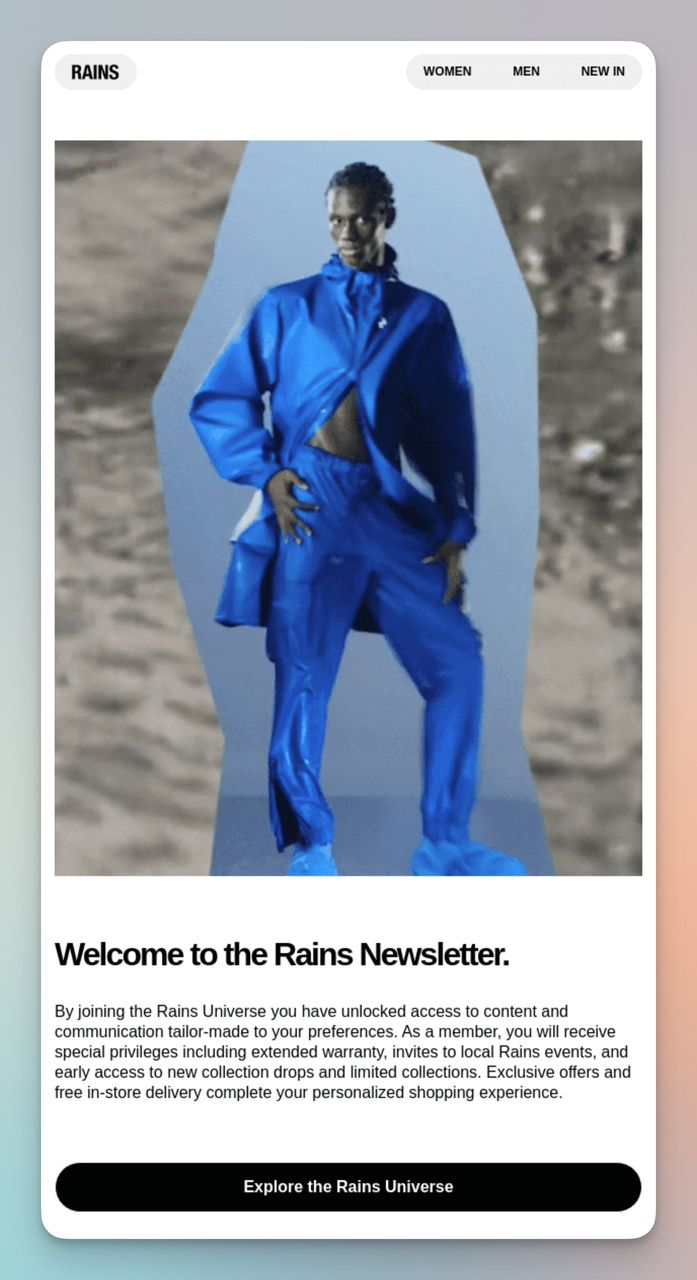 Example of Promotional & Informational Newsletter from Rains