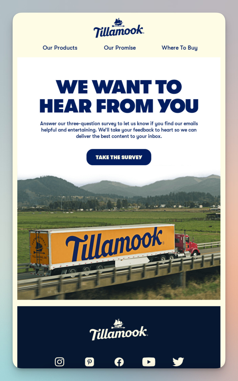 Example of Feedback Request Email from Tillamook