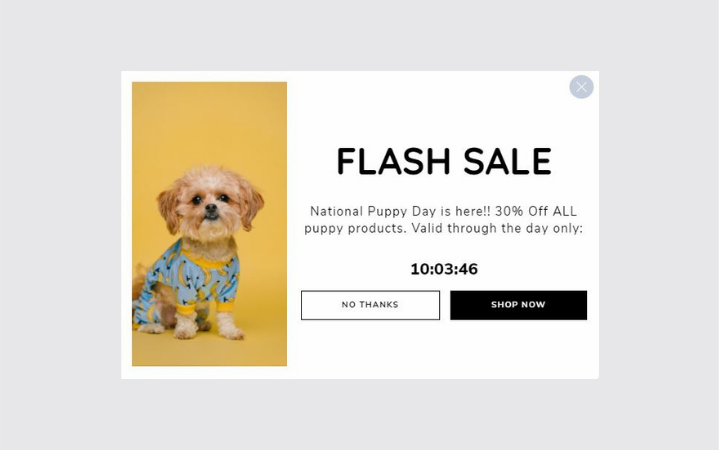 flash sale popup with countdown timer