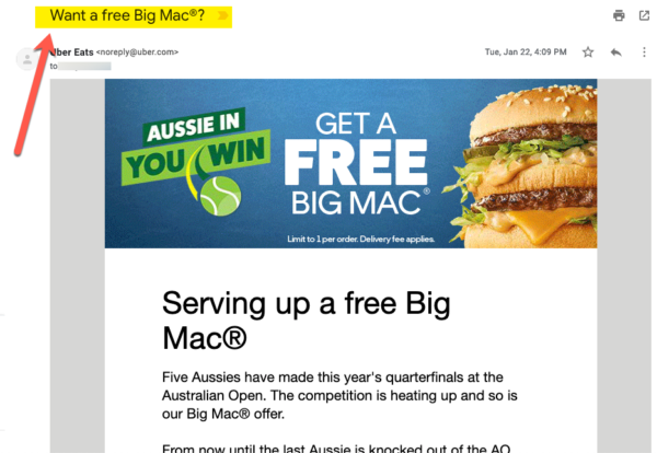 Free Big Mac Email Subject Line Example on an email template