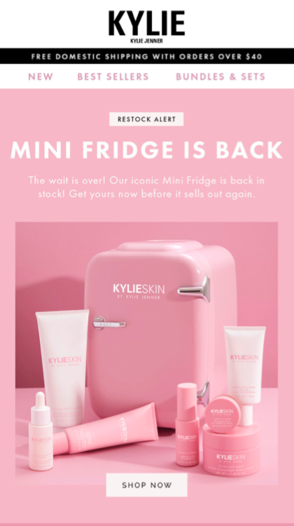 kylie cosmetics' back in stock email about their fridge