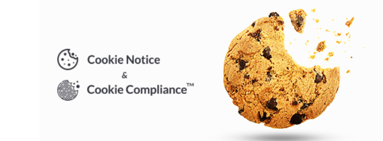 Cookie Notice plugin