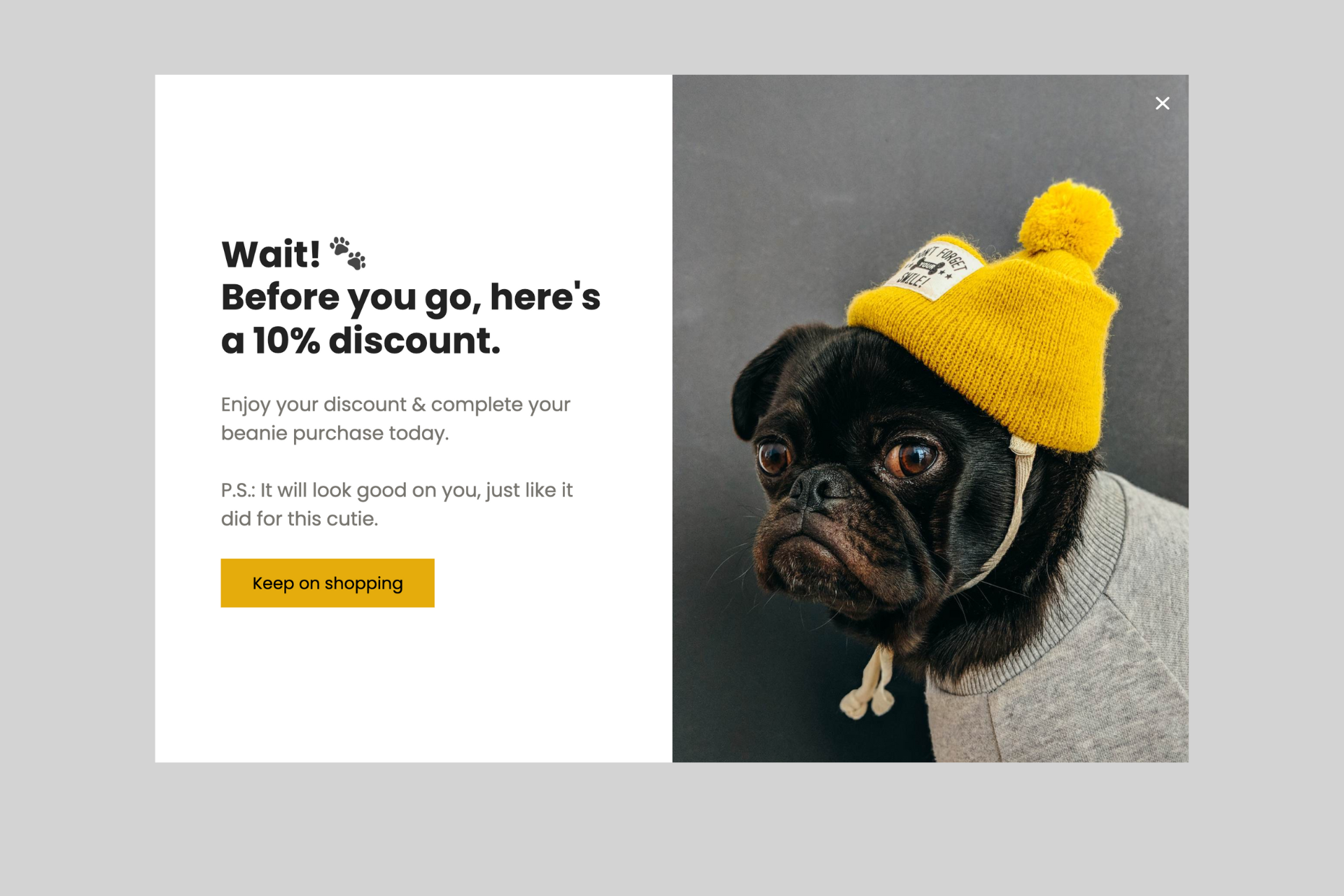 exit-intent popup example with a discount that says "Wait! Before you go, here's a 10% discount" and an image of a dog wearing a beanie