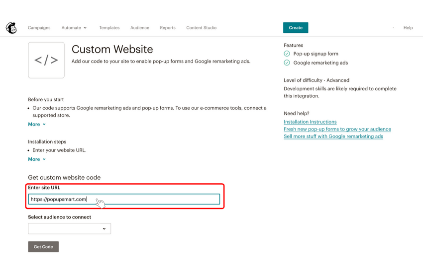 How to put website URL to enter site URL field on Mailchimp