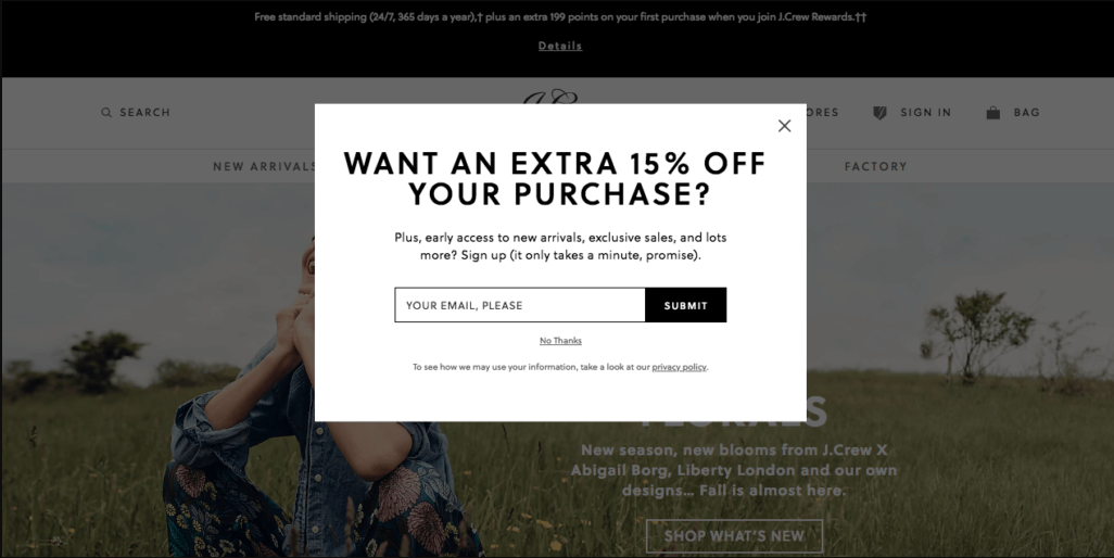 jcrew email subscribe promotional popup exit-intent popup